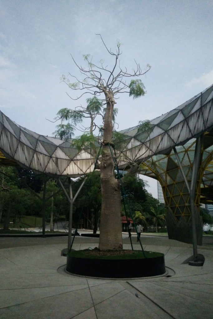 IMG_20150916_172314 ps